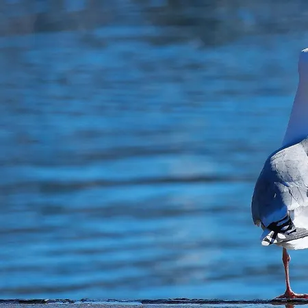 Meeresbrise Σπίτι διακοπών *